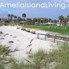 Fernandina's Main Beach Park, Amelia Island, Florida