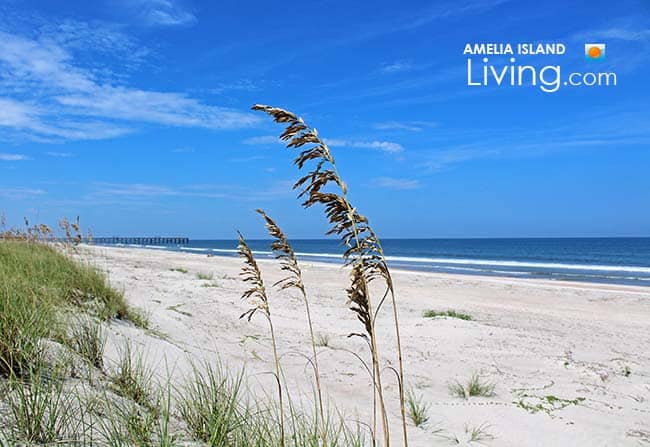 Living Near The Beach, Amelia Island, Florida, photo