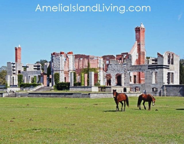 Dungeness Ruins, Feral Horses on Cumberland Island, GA