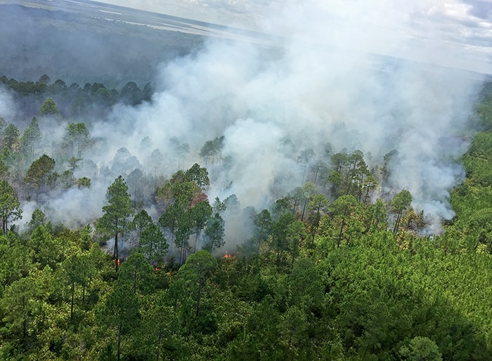 Whitney Wildfire Smoke Cumberland Island