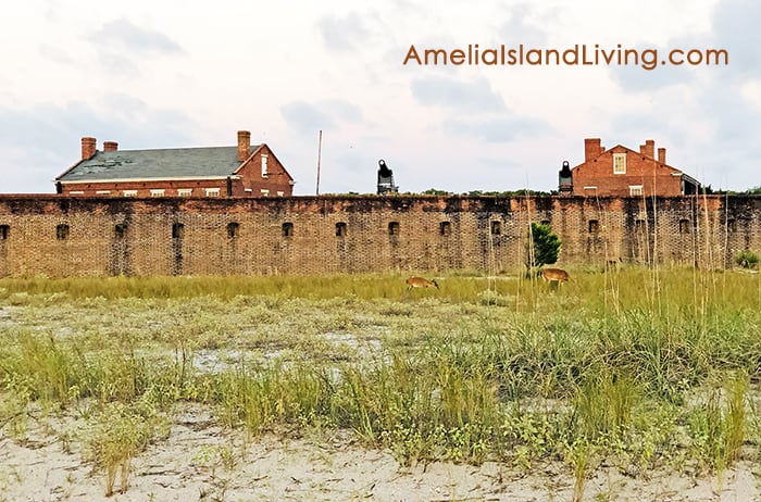 Fort Clinch Perspective, View From Cumberland Sound Shoreline