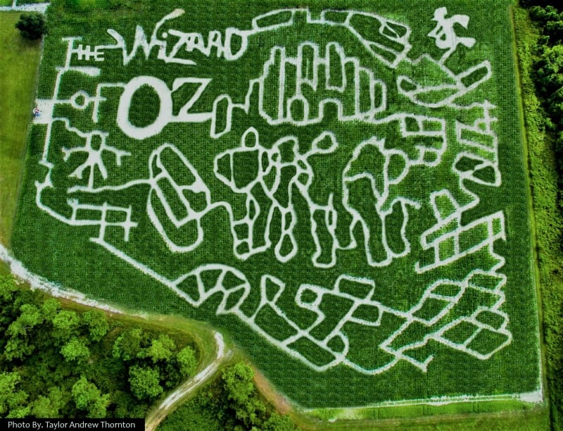 Conner's Corn Maze Nassau County, Florida Farm, Wizard of Oz 2019