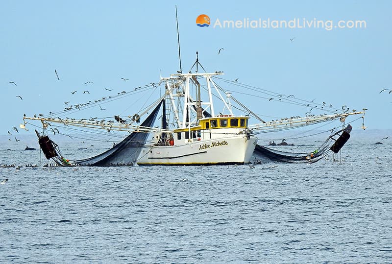 Shrimp Boat Ashlee Michelle Cumberland Sound Amelia Island Living Magazine