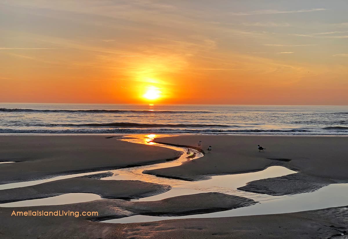 Amelia Island Beaches To Reopen May 2020, Photo by AmeliaIslandLiving.com