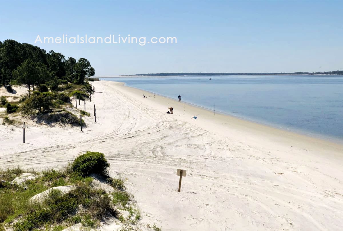 Counting Blessings, Amelia Island. Live, Play, Work on Florida Resort Island  – Amelia Island Living