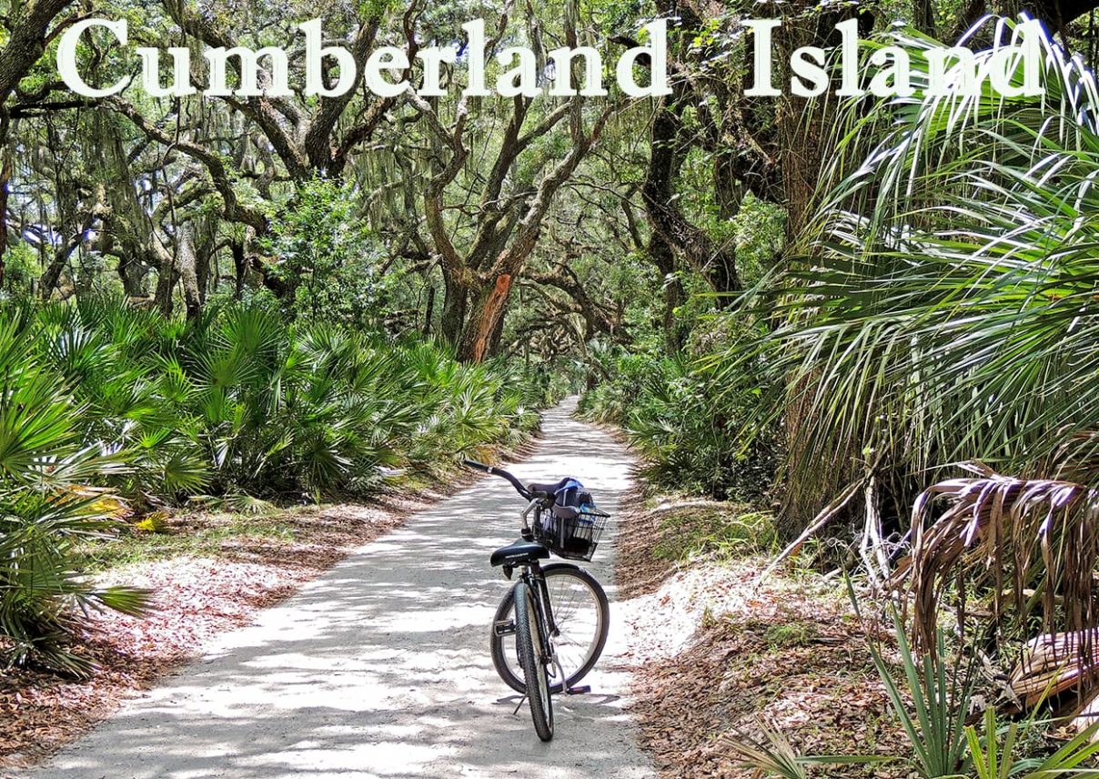 Cumberland Island National Seashore Wilderness. Photo by AmeliaIslandLiving.com magazine.